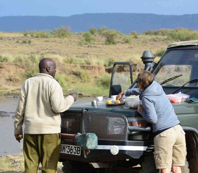 Guiding You Through Kenya’s Safari Wonders: The Role of Safari Guide