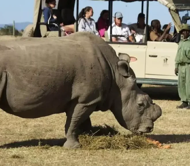 Tarangire National Park Tanzania, Tarangire Safari Tours