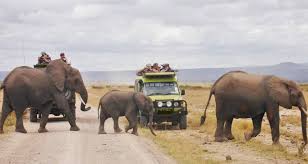 Exploring Kenya Big Five Safaris