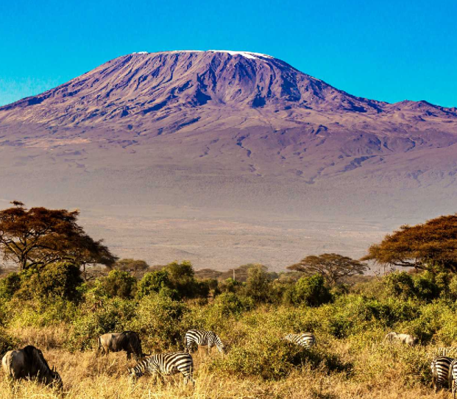 Mount Kilimanjaro National Park