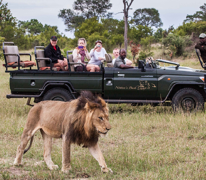 1 Day Nairobi National Park Safari