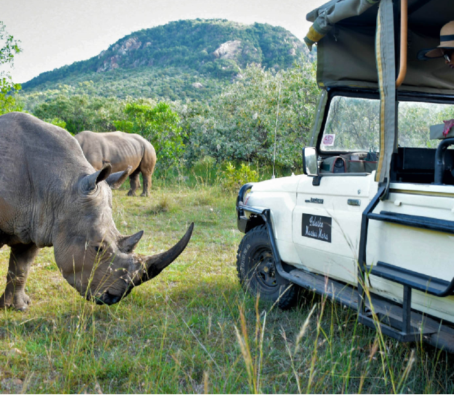 Big Five safari tours of Tanzania