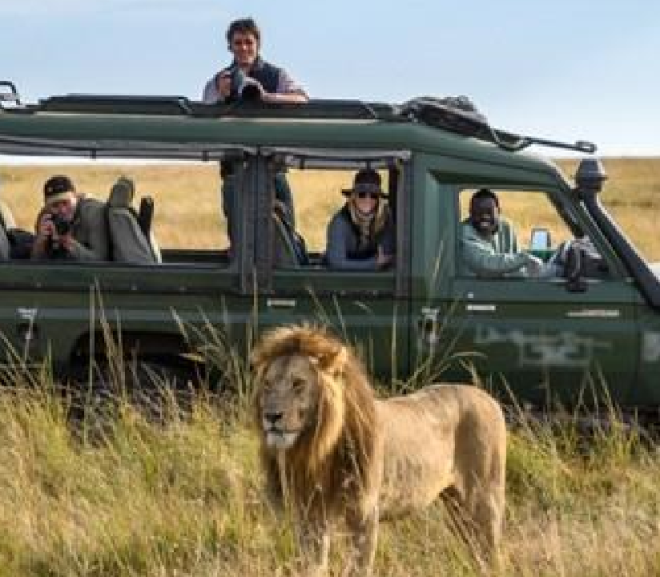 Embark on a Serengeti Safari Adventure