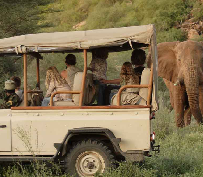 Best value Kenya safari trips